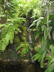 080 Kuranda Butterfly Sanctuary